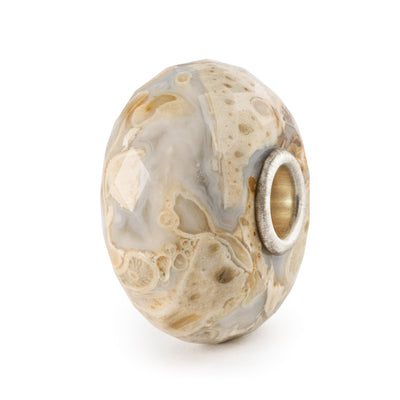 Fossilised Wood Bead