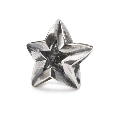 Capricorn Star Bead