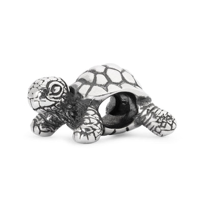 African Tortoise Bead